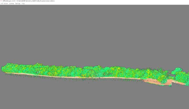 Virtually-Performed-Inspection-of-a-Subterranean-Tunnel-Using-3D-Laser-Scanners-and-Lidar-Software-vegetated-profile