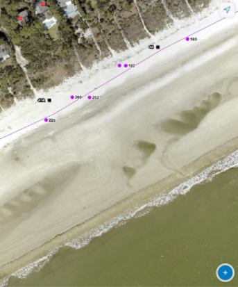 How GIS and GNSS Helps Protect Endangered Sea Turtles GPS Coordinates