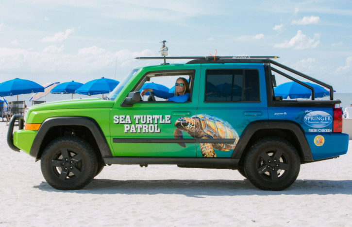 How GIS and GNSS Helps Protect Endangered Sea Turtles patrol car