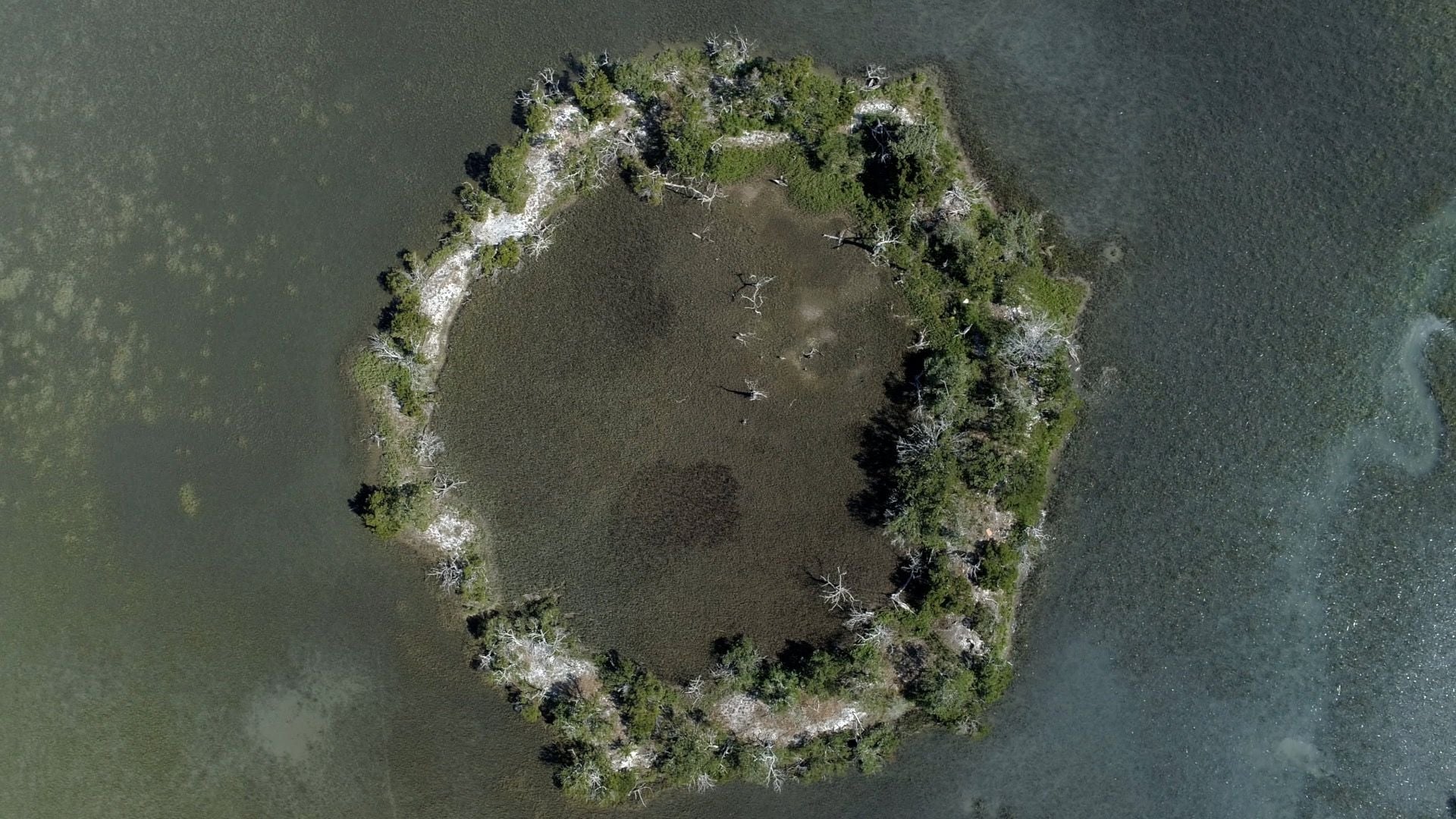 GNSS Helps Document and Excavate Cultural Sites in Coastal South Carolina aerial picture of area
